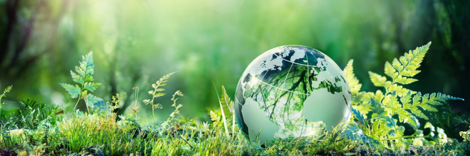 sustainable firefighting